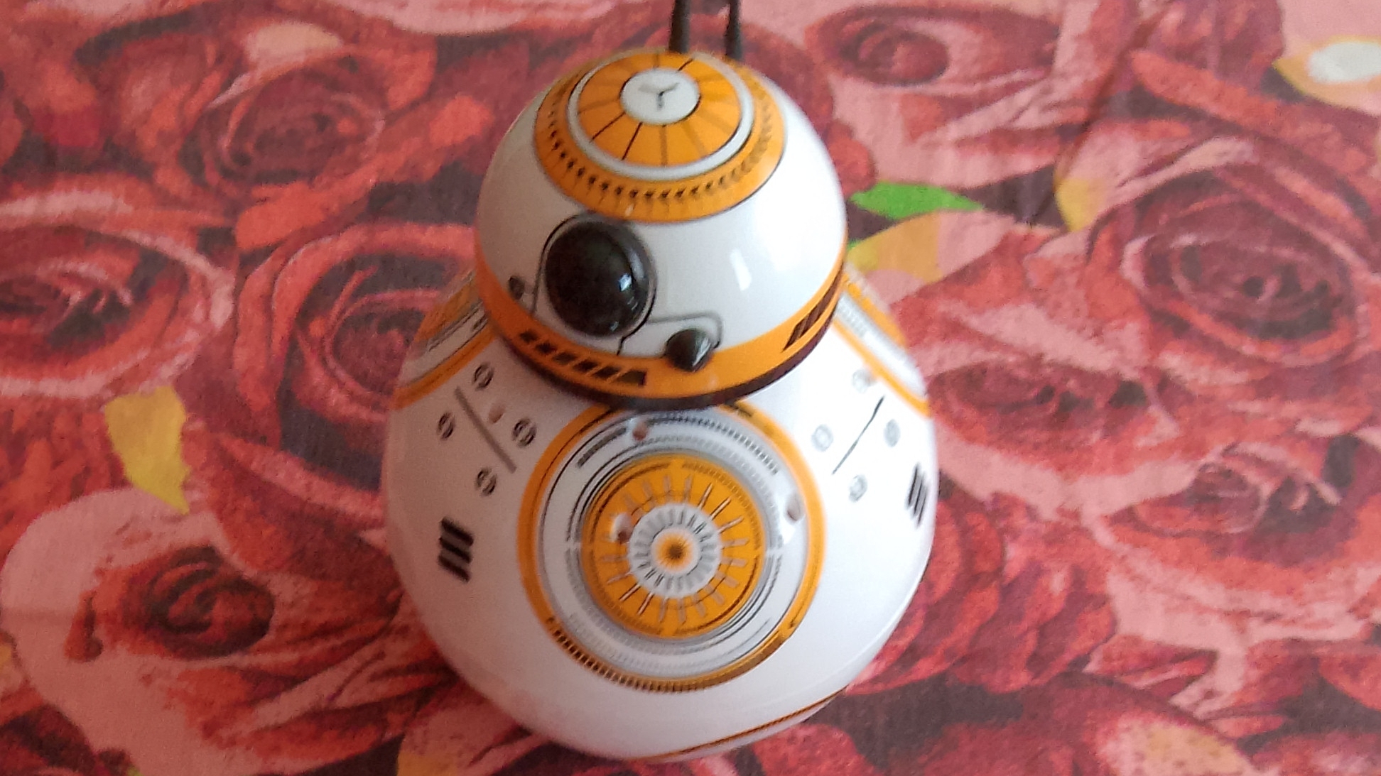 сайт называется ЗАЙЦЫ ФПС БОТ !!!