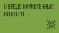 О вреде наркогенных веществ. Видеоурок по биологии 8 класс
