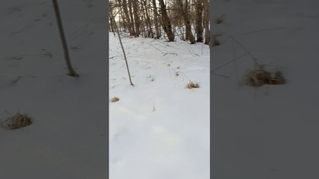 1000010605.mp4