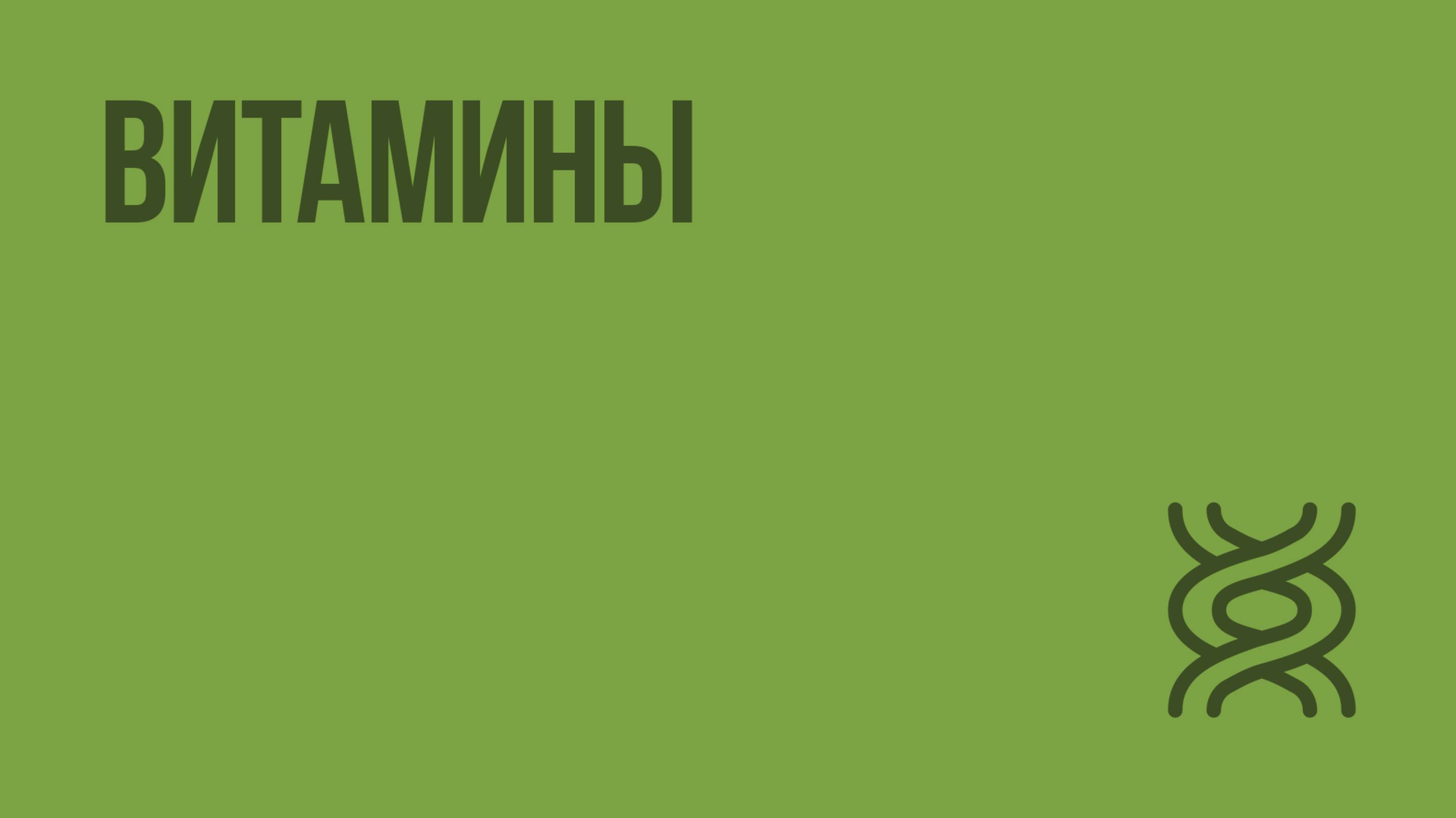 Витамины. Видеоурок по биологии 8 класс