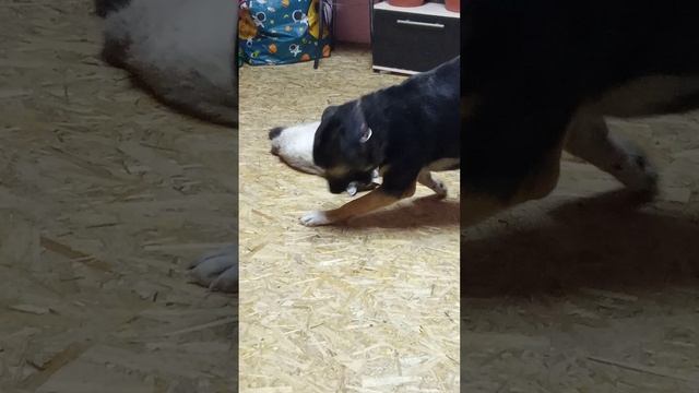1000042307.mp4