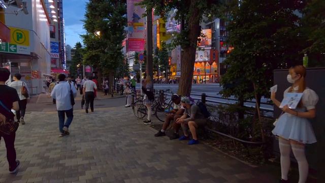 【4K】Akihabara - Let's Find a Cute Maid Girl - Night Walk in Tokyo Electric Anime Town , Japan (秋葉原)