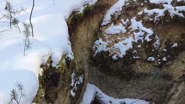 Золото, Французская горка, президент