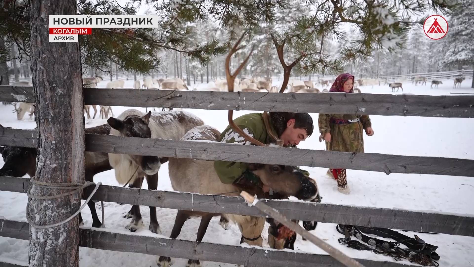 У югорчан может появиться новый праздник