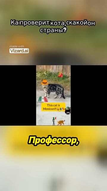 Как проверить кота_ с какой он страны_
