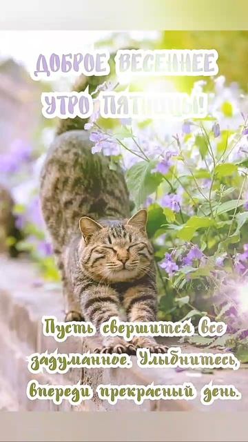 доброе утро