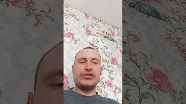 стихи