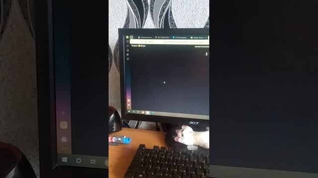 МУЗЫКА