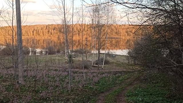 А птицы то как поют!А на реке какая гладь!