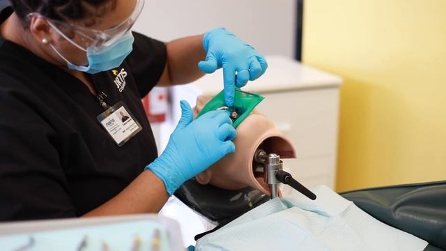 Orange Park (Jacksonville), FL - Welcome | Fortis