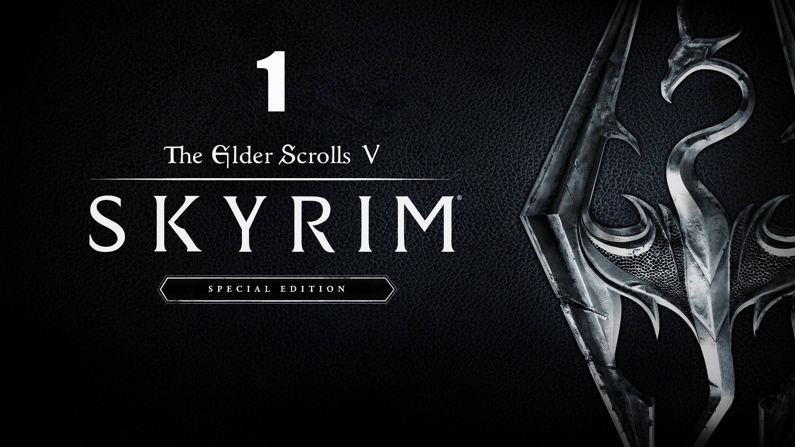 The Elder Scrolls 5: Skyrim Special Edition