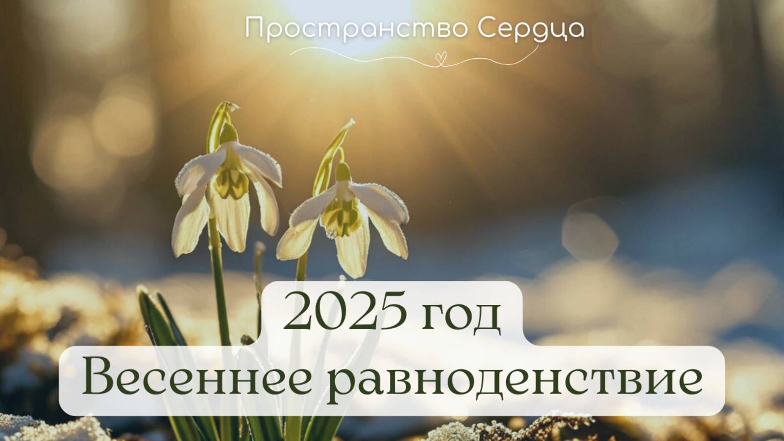 2025 год. Весеннее равноденствие.