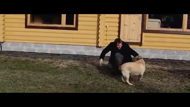 Про нашу жизнь   'Те, кто в движении   видят свет   '  Мотивация