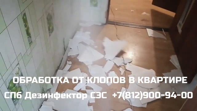 Обработка от клопов в СПб +7(812)900-94-00