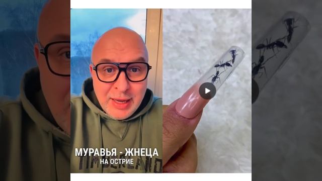 💅 Маникюр с муравьями – красота или кошмар? 🐜