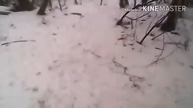 Бег от первого лица и немного скучный •ВЛОГ•