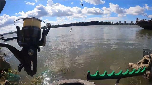 Pecanje na Dunavu,šljunkara -Crvenka.Fishing on the Danube river place Crvenka.