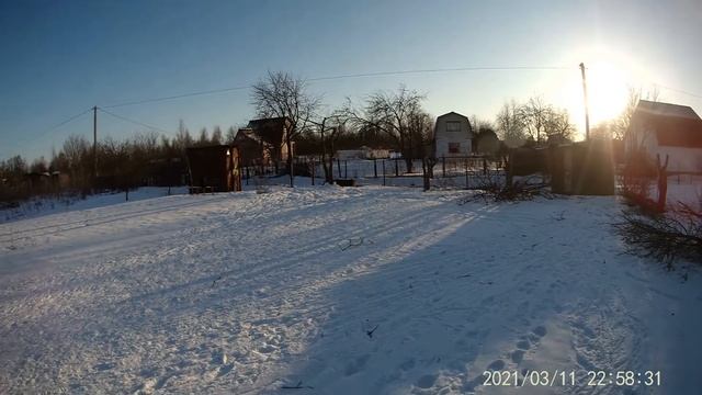 Жесткое омоложение старого сада. Как обрезать садовые деревья?