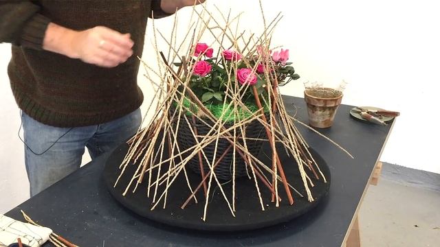 How To Make A Modern Design With Patio Rose Plant