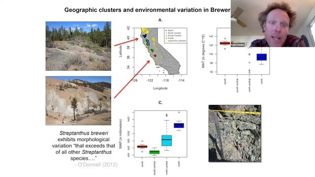Local Variation and Cryptic Diversity
