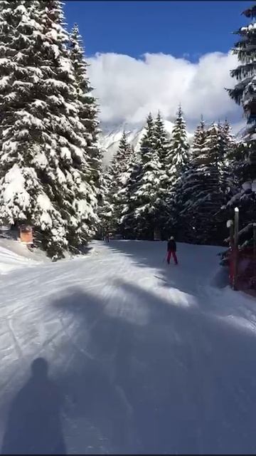 ГОРНОЛЫЖКА