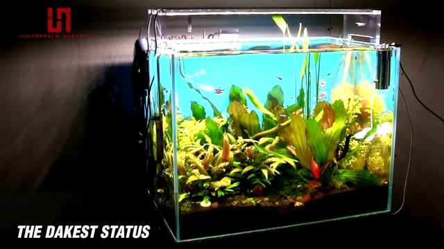 Hinterfeld AUChihiros 602 千寻 千尋 602 AquaSky LED Light