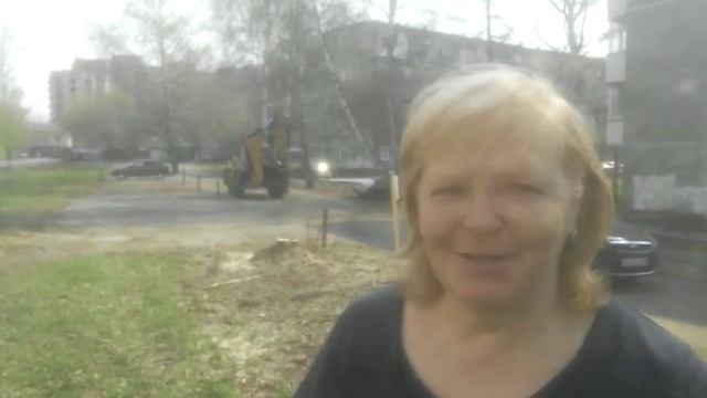 Отзыв Абсолют спиливание и корчевание