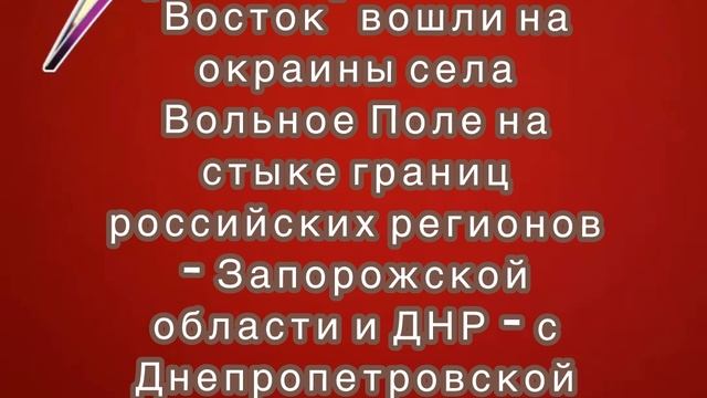 Российские войска вошли на окраины села Вольное Поле