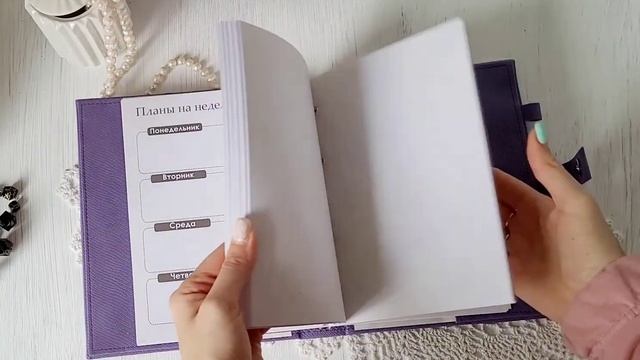 Ежедневник юриста, обзор