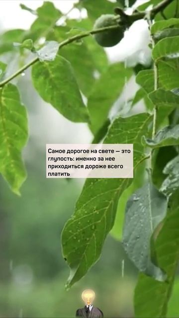 Высшая МУДРОСТЬ | Цитаты Величайших людей | МУДРОСТЬ, ЦИТАТЫ, ЗНАНИЯ