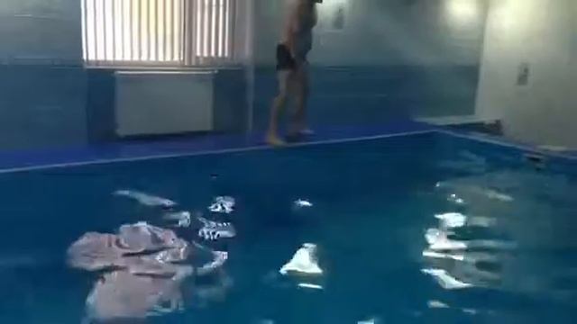 Дельфин болт