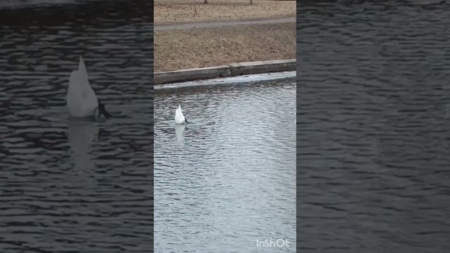 Там столько вкусного!