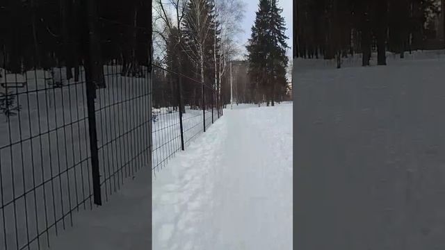 VID-20250306-WA0059