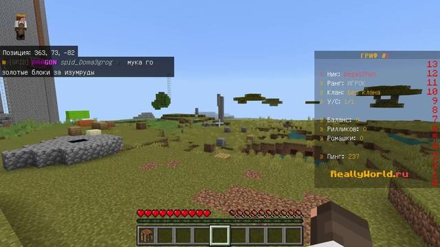 Minecraft reallyworld