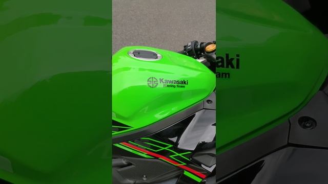Kawasaki Ninja ZX4RR custom exhaust pipe LeoVince slip-on