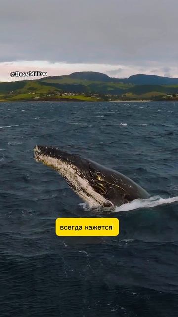#юмор #мысльдня