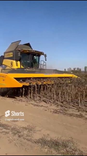 Sunmaster Neo жатка с комбайном New Holland