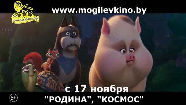 DC Лига Суперпитомцы