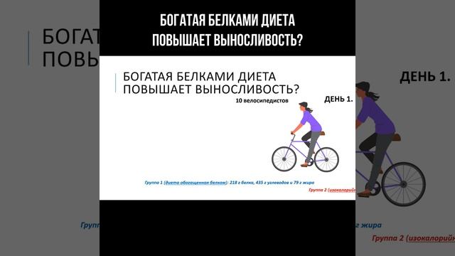 Богатая белками диета повышает выносливость?