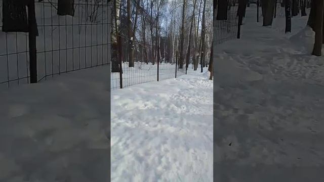 VID-20250306-WA0056