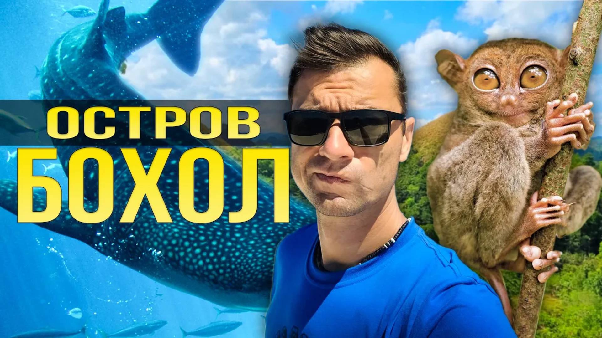 Остров Бохол, Филиппины. Куда поехать и что посмотреть?