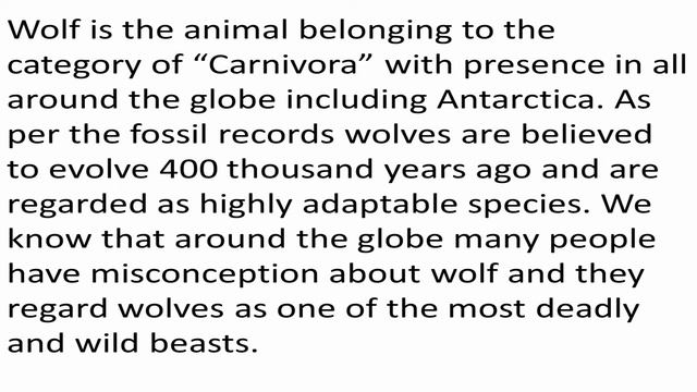 Essay on wolf For Kids | Essay on Wolf | Wolf Essay | Wolf essay for Kids