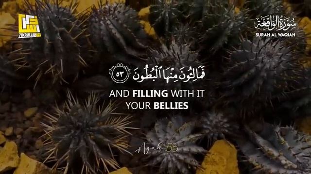 Al-Waqi'ah 96 oyat Мы слышим Коран