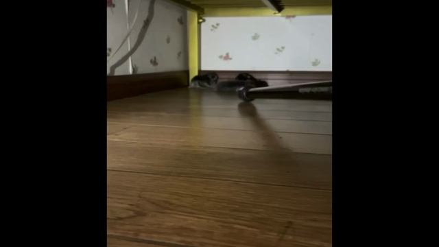 приколы