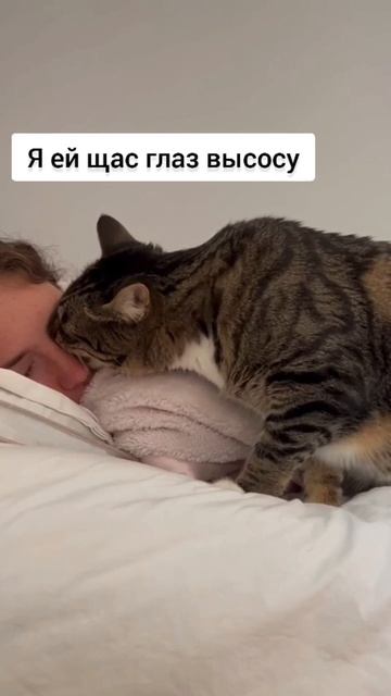 Смешавки.