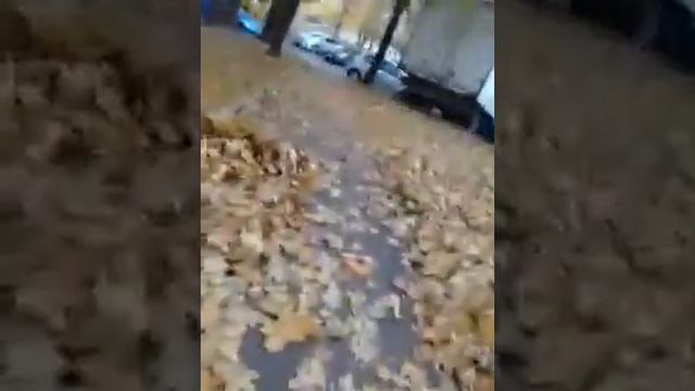 Работа дворником