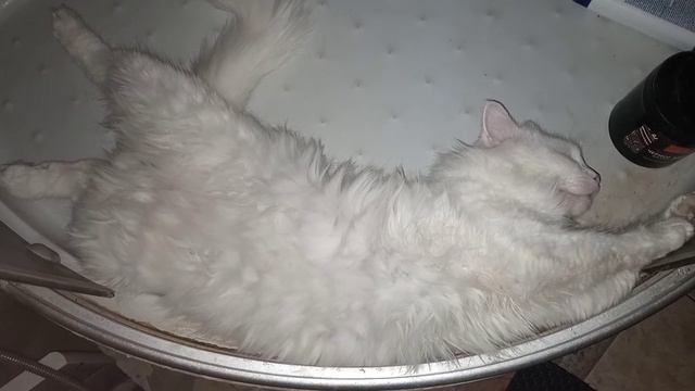 Хорошо когда дома тепло