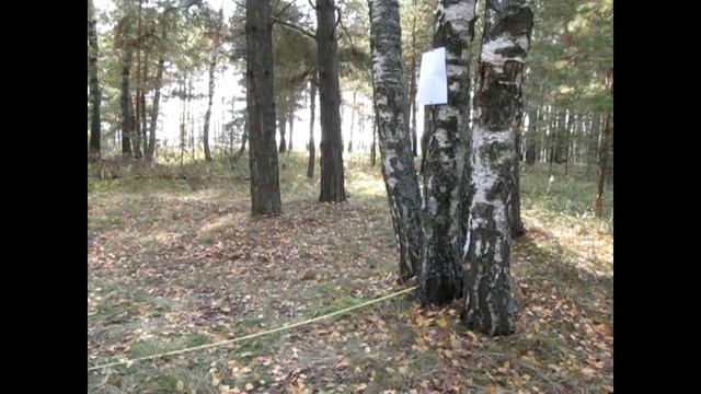 Большой Тест 3 (Оружие самообороны-газовые баллончики)