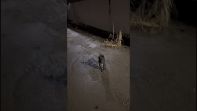 Волонтерство для души 😇