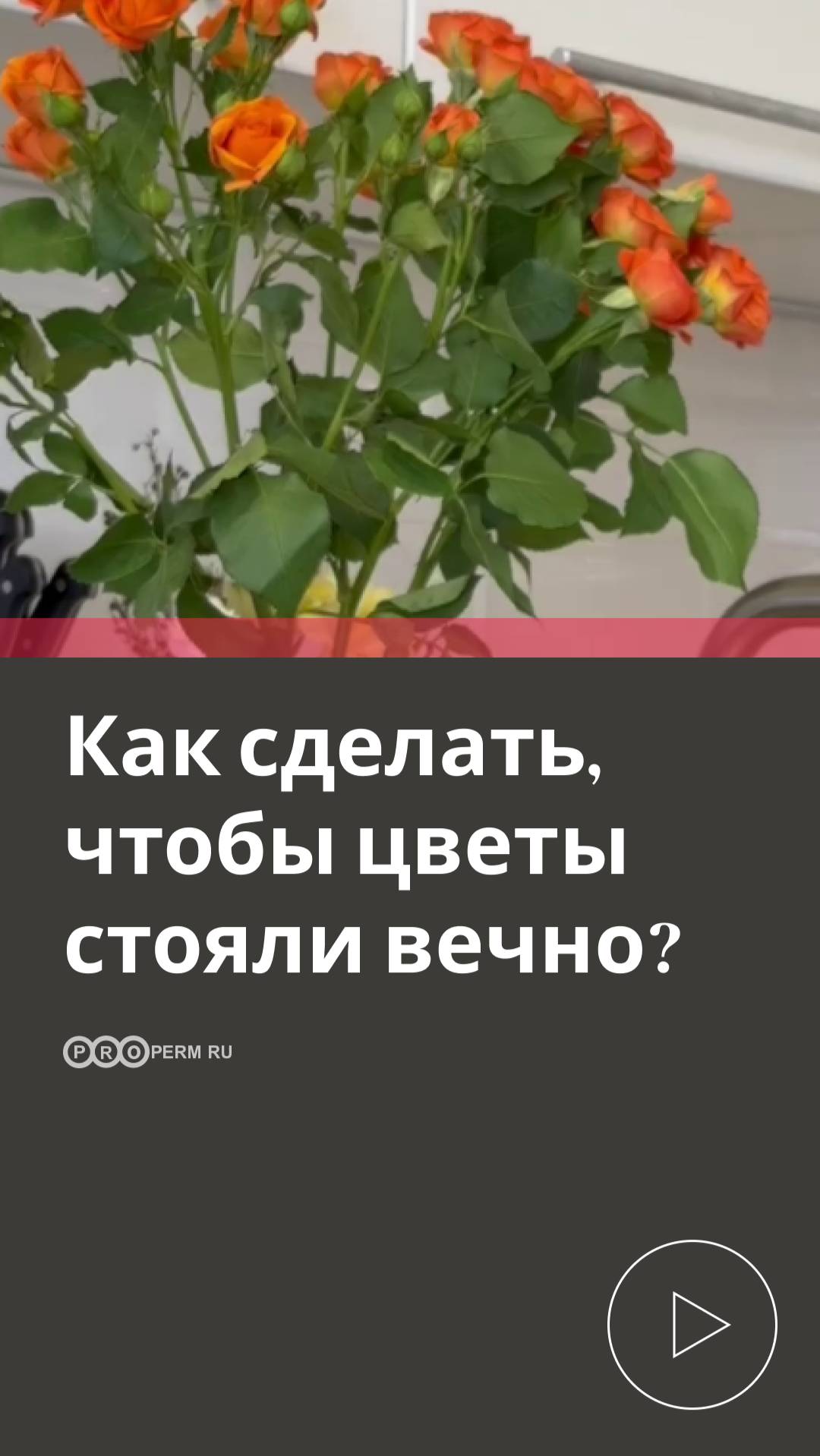 КАК СДЕЛАТЬ ТАК, ЧТОБЫ ЦВЕТЫ СТОЯЛИ ВЕЧНО?